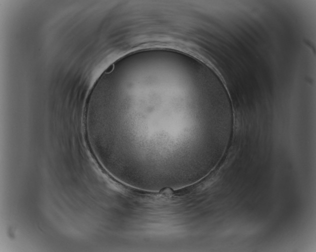 X0000102021533200807181314