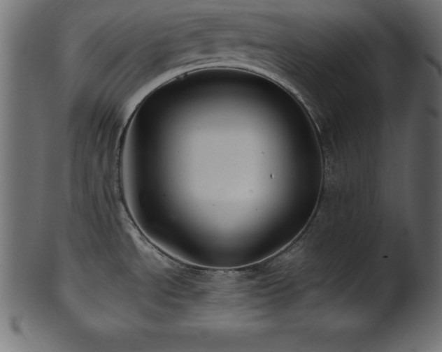 X0000102021534200807181314