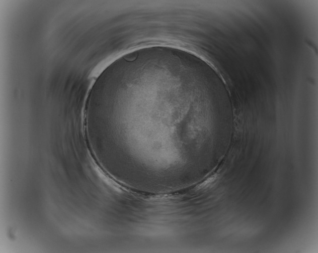 X0000102021535200807181314