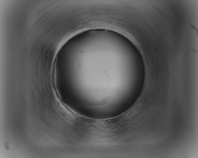 X0000102021536200807181314