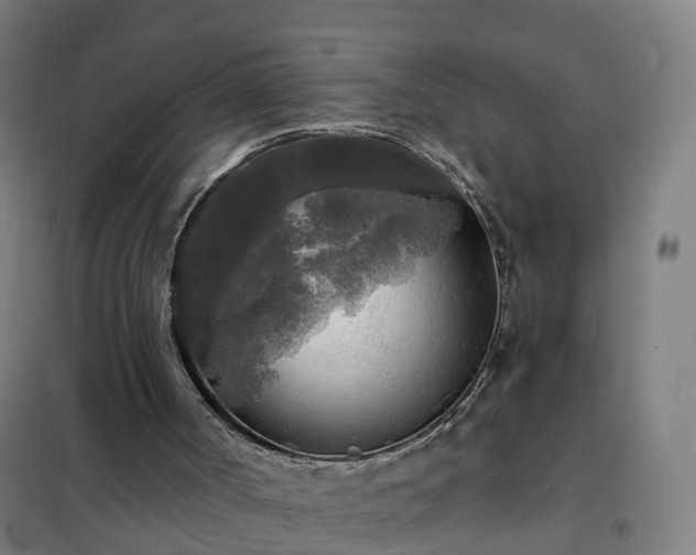 X0000102020002200807251342