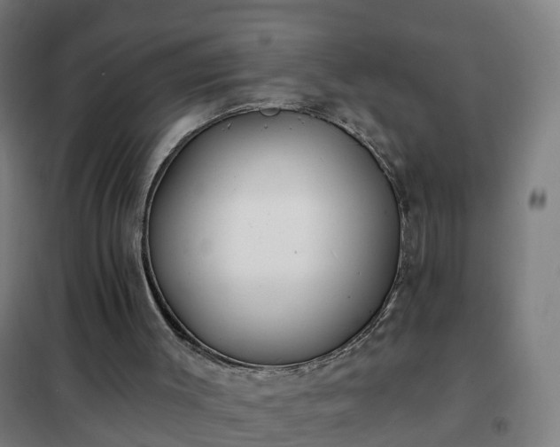 X0000102020003200807251342