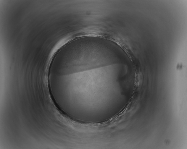 X0000102020004200807251342