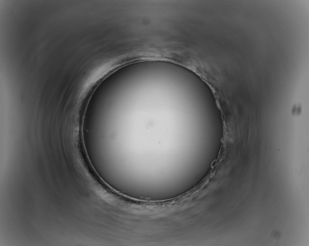 X0000102020005200807251342