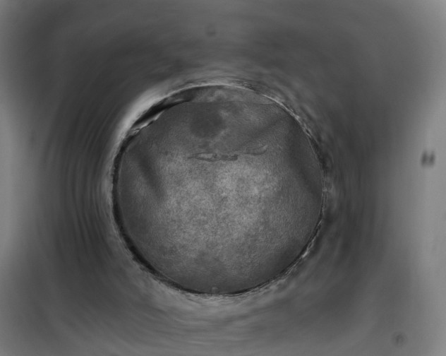 X0000102020006200807251342
