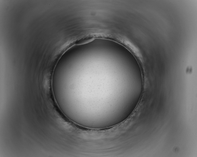 X0000102020009200807251342