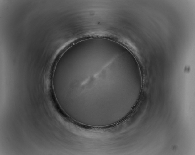 X0000102020012200807251342
