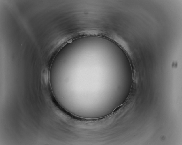 X0000102020013200807251342