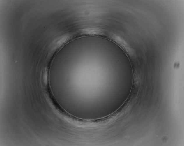 X0000102020014200807251342