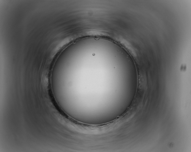X0000102020015200807251342