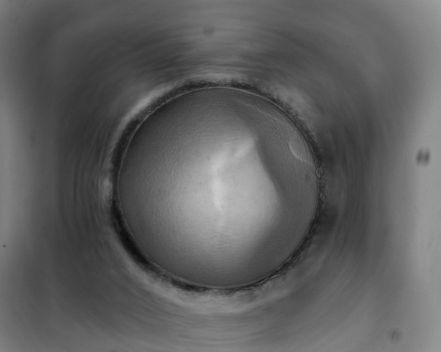 X0000102020016200807251342