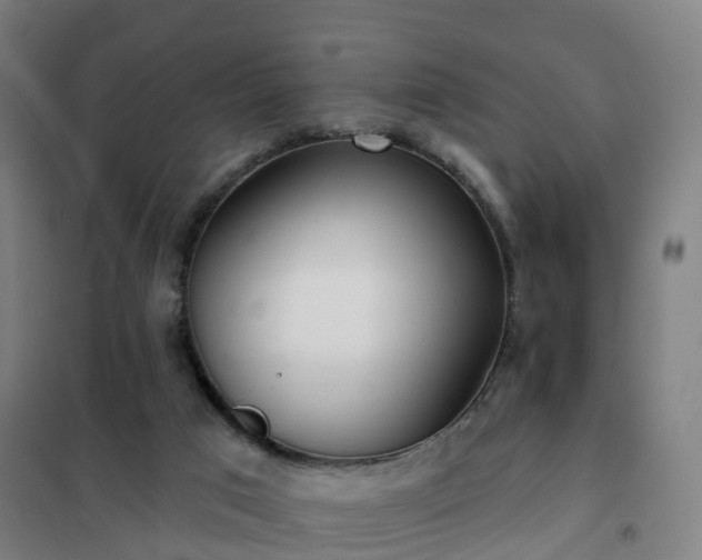 X0000102020017200807251342