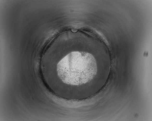 X0000102020018200807251342