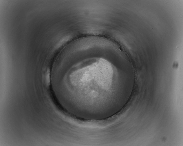 X0000102020020200807251342