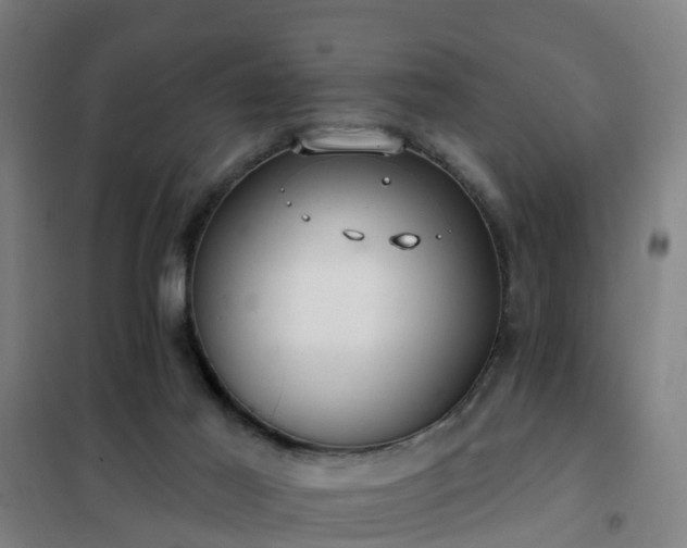 X0000102020021200807251342