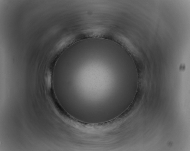 X0000102020022200807251342