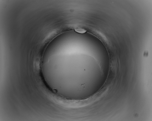 X0000102020023200807251342