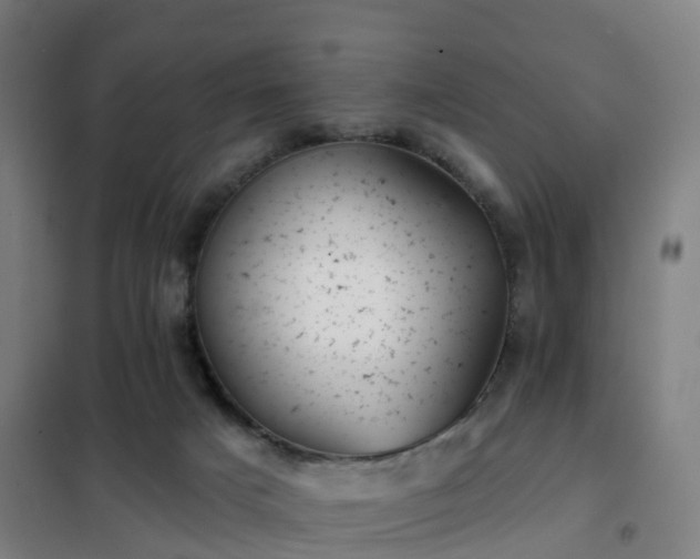X0000102020025200807251342