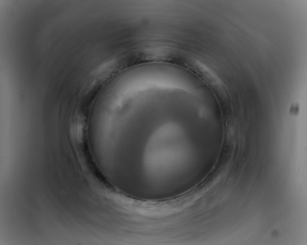 X0000102020026200807251342