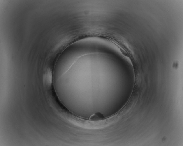 X0000102020027200807251342