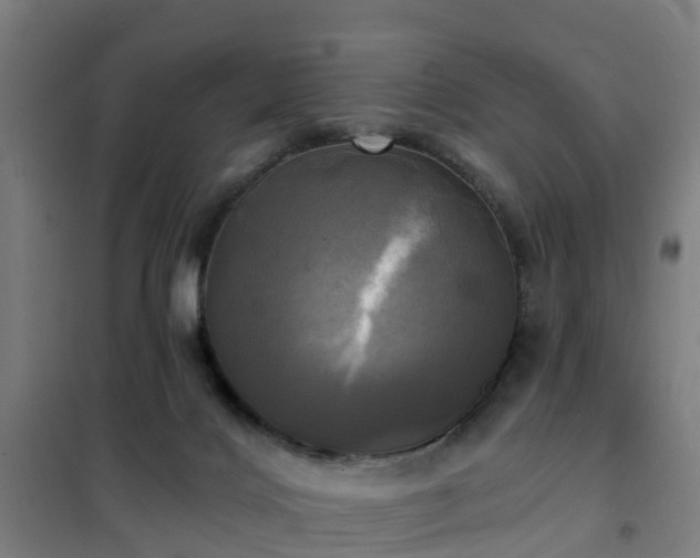 X0000102020028200807251342