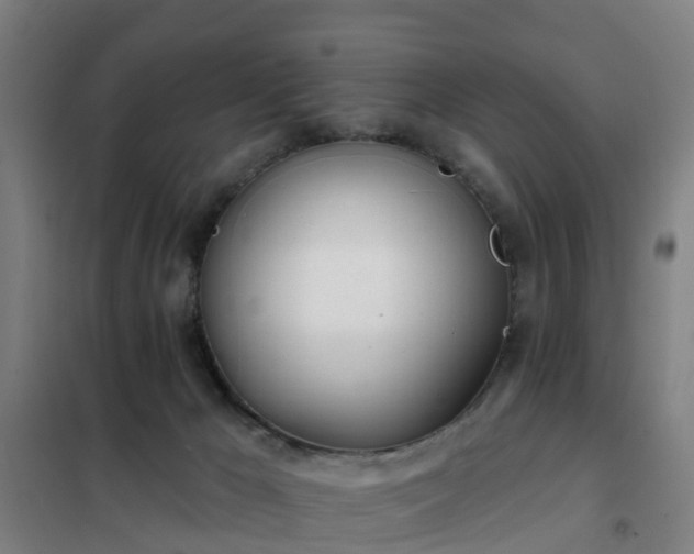 X0000102020029200807251342
