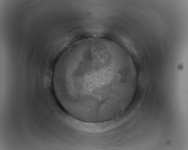 X0000102020030200807251342