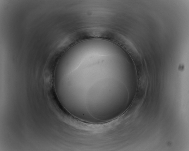 X0000102020031200807251342