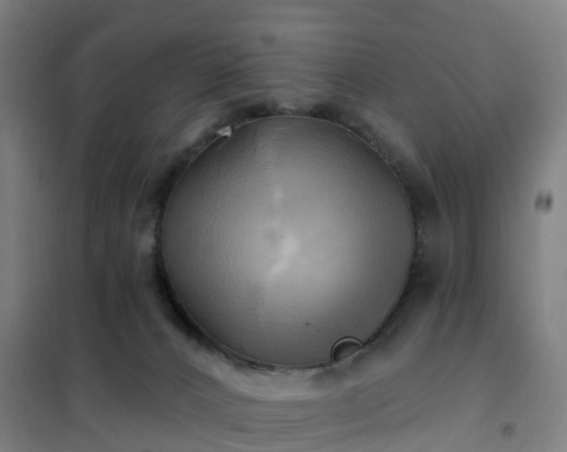 X0000102020032200807251342