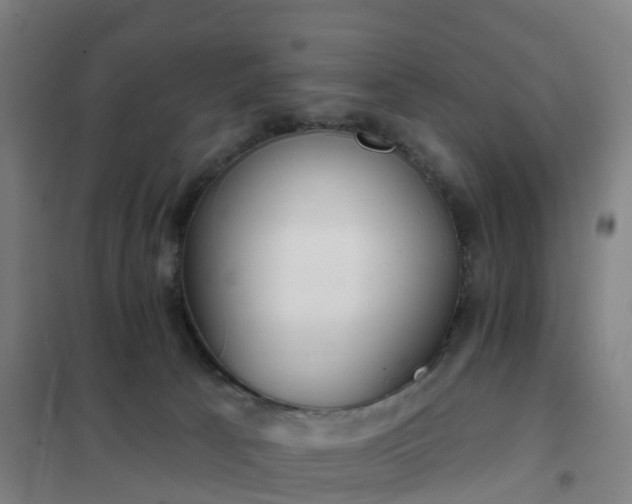 X0000102020033200807251342