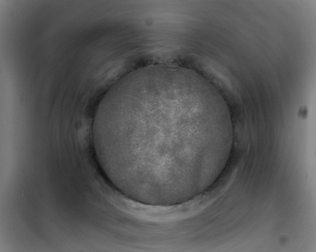 X0000102020034200807251342