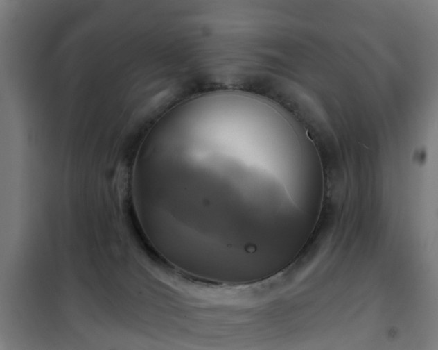 X0000102020036200807251342