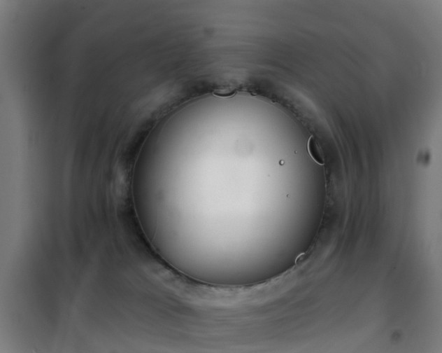 X0000102020037200807251342