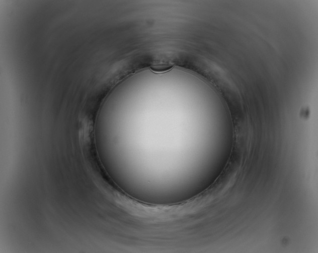X0000102020038200807251342