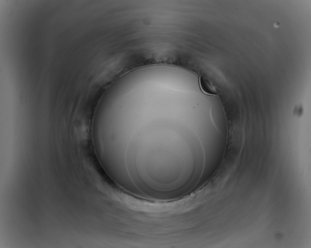 X0000102020039200807251342