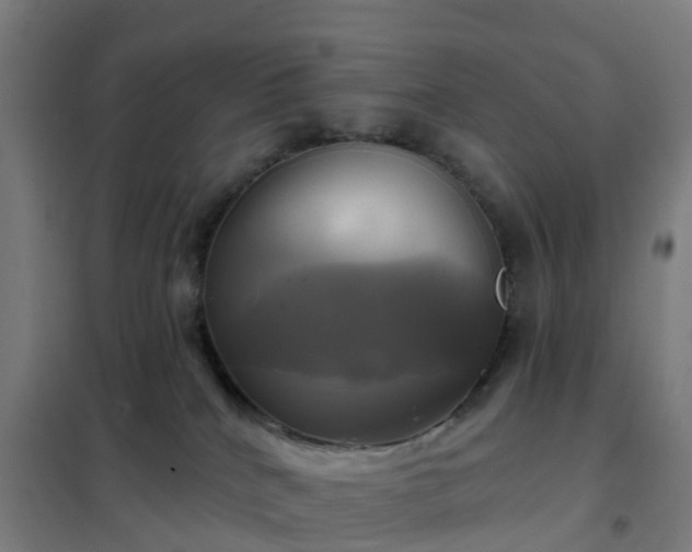 X0000102020040200807251342