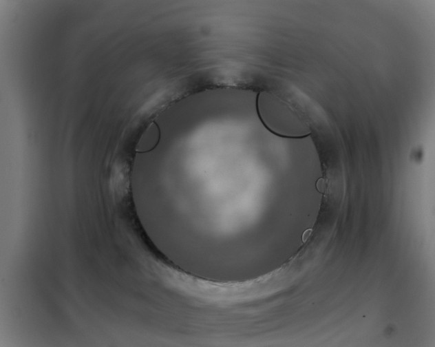 X0000102020043200807251342