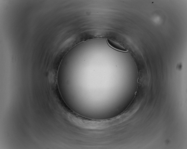 X0000102020044200807251342
