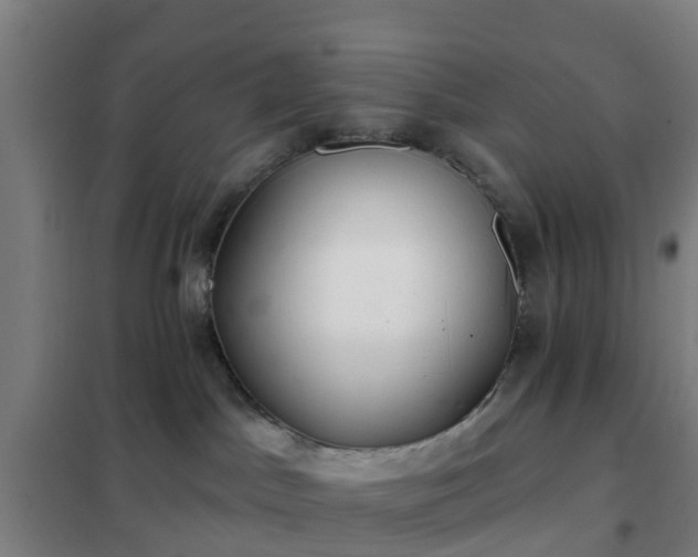 X0000102020045200807251342
