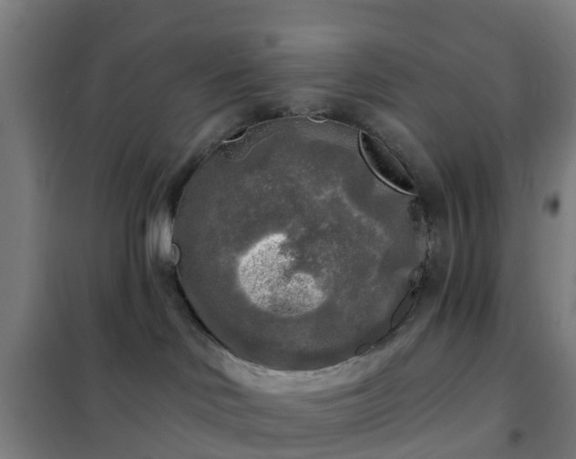 X0000102020046200807251342