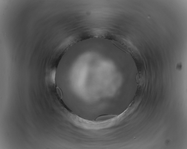 X0000102020047200807251342