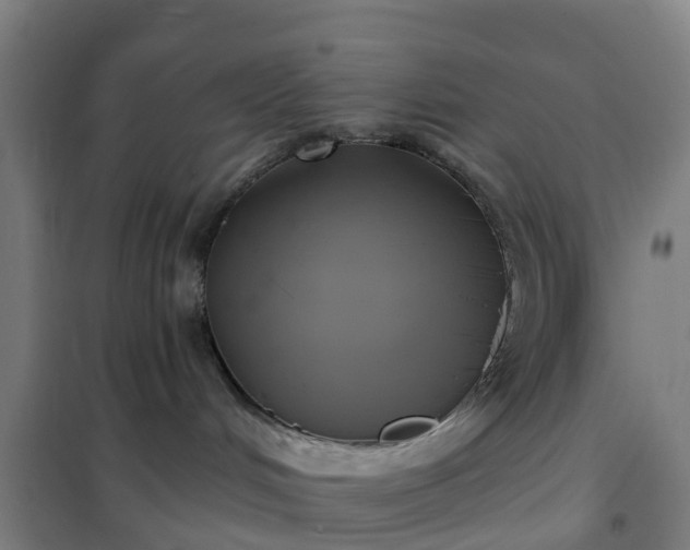 X0000102020048200807251342