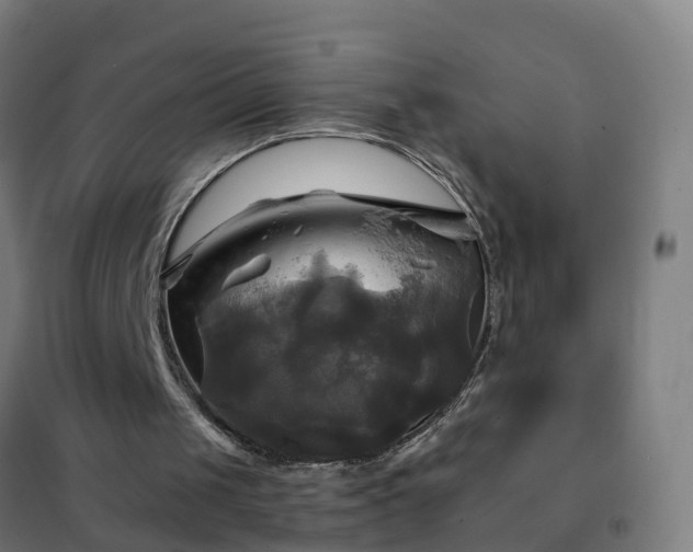 X0000102020049200807251341