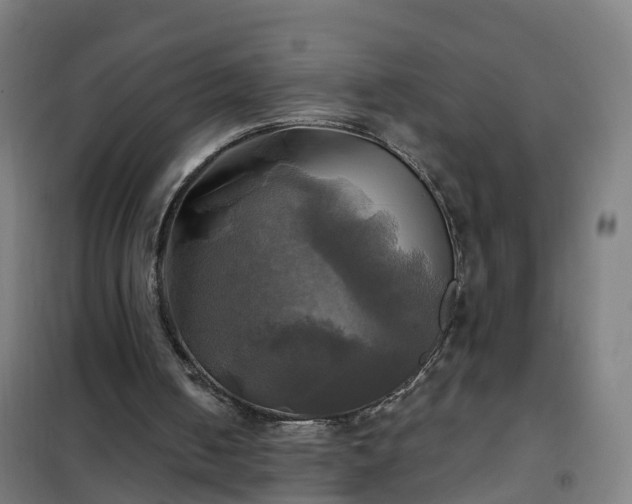 X0000102020050200807251341