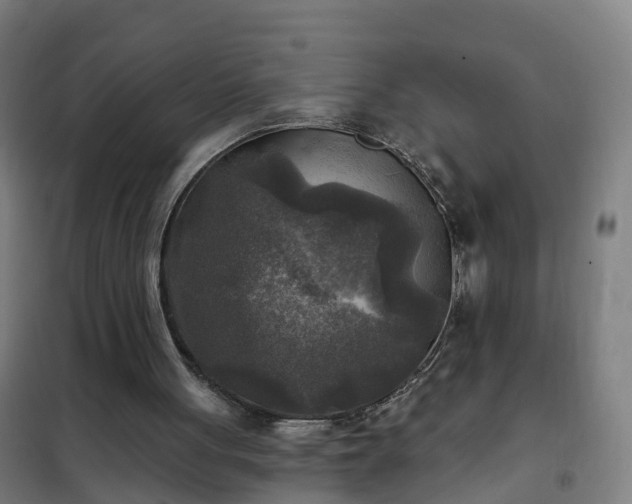 X0000102020051200807251341