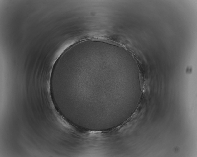X0000102020052200807251341