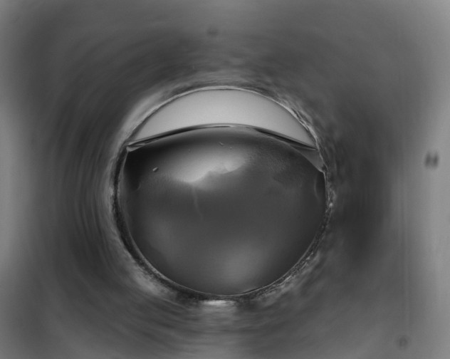 X0000102020053200807251341
