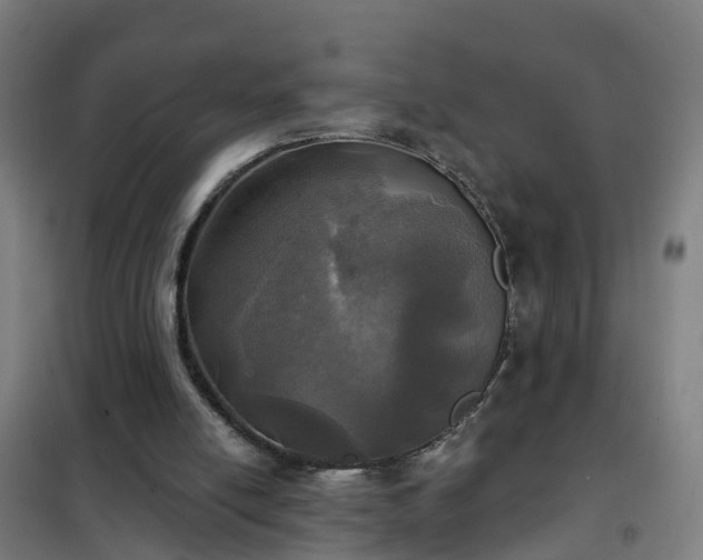 X0000102020054200807251341