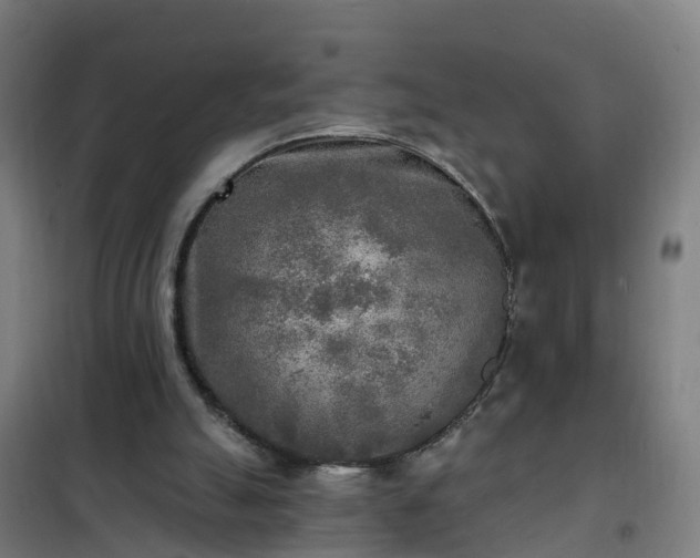 X0000102020055200807251341