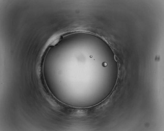 X0000102020056200807251341